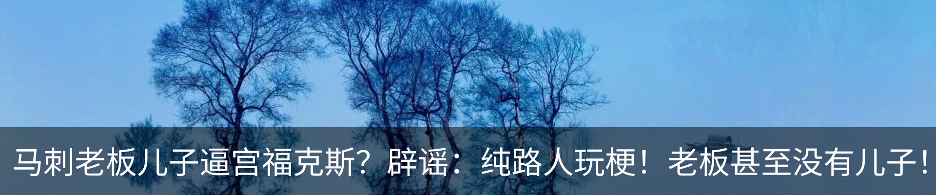 最新动态